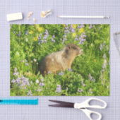 Marmot in Mount Rainier Wildbloemen Tissuepapier (Craft)