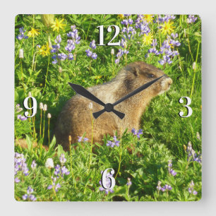 Marmot in Mount Rainier Wildbloemen Vierkante Klok