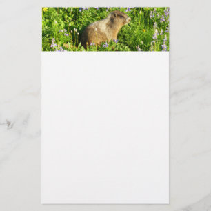 Marmot in Mount Rainier Wilde Bloemen Briefpapier