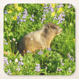 Marmot in Mount Rainier Wilde Bloemen Vierkante Kartonnen Onderzetter