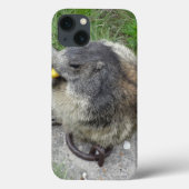 Marmot iPad cases (Achterkant)