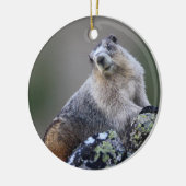 marmot keramisch ornament (Links)