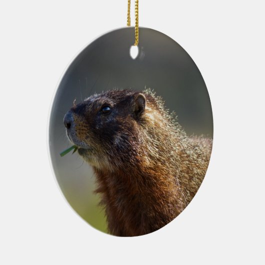 Marmot Keramisch Ornament (Rechts)