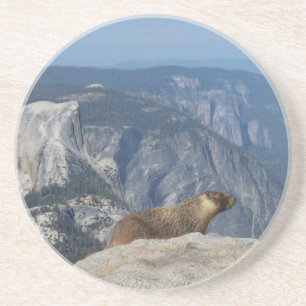 Marmot kijkt half koepel van wolkenrust over - Yo Zandsteen Onderzetter