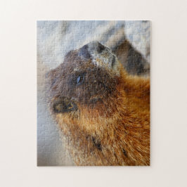 marmot legpuzzel