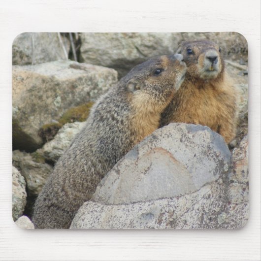 Marmot Love Muismat (Voorkant)