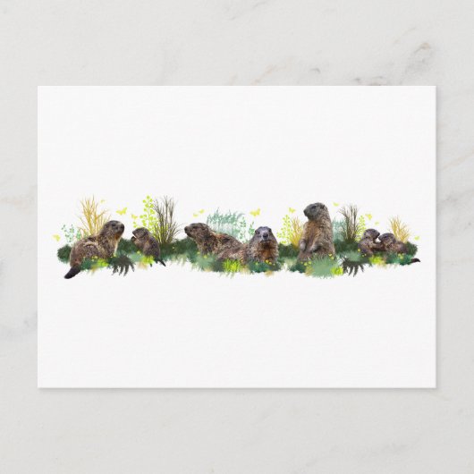 Marmot Meadow Briefkaart (Voorkant)
