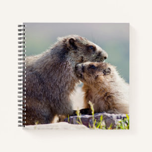 Marmot Moeder met Baby Notitieboek