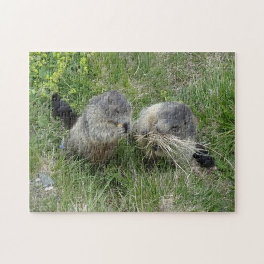 Marmot puzzle legpuzzel (Horizontaal)