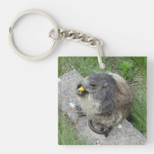Marmot-sleutelketen Sleutelhanger