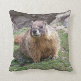 Marmot uit Palouse Falls State Park Kussen