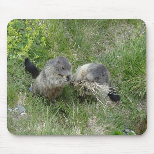 Marmots mousepad muismat (Voorkant)
