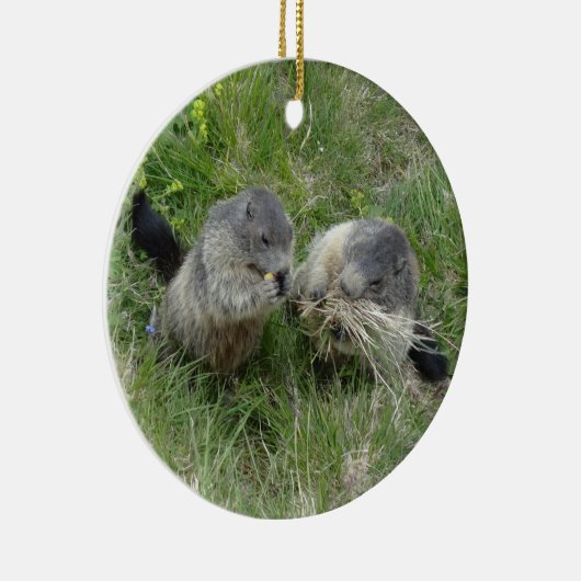 Marmots ornament (Rechts)