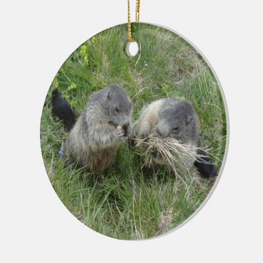 Marmots ornament (Links)