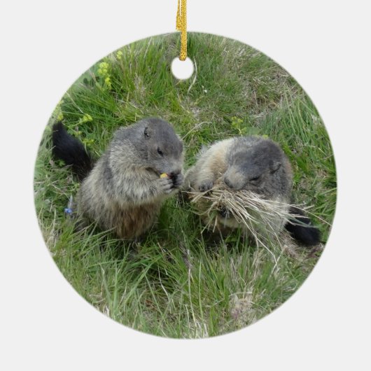 Marmots ornament (Achterkant)
