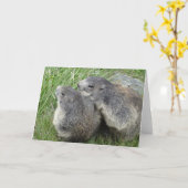 Marmots wenskaart kaart (Gele Bloem)