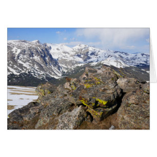 Marmotte à ventre jaune contemplant les montagnes