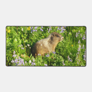 Marmotte dans les fleurs sauvages du mont Rainier