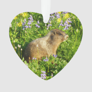 Marmotte dans les fleurs sauvages du mont Rainier