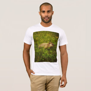 Marmotte dans un T-shirt de campagne