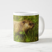 Marmotte de fond dans une tasse de champ (Devant droit)