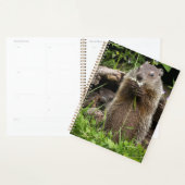 Marmotte mâchonnant une fleur (Devant avec enveloppe)
