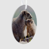 Marmotte mère avec bébé (devant)