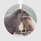 Marmotte mère avec bébé (dos)
