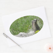 marmotten ovale sticker (Envelop)