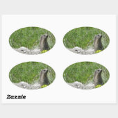 marmotten ovale sticker (Vel)