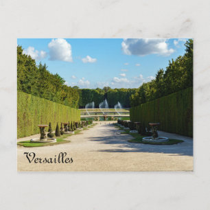 Marmousets lopen in de tuinen van Versailles Briefkaart
