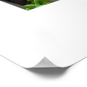 Maroc marocco poster (Hoek)