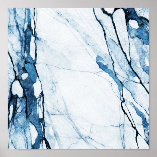 Marokkaanse blauwvis poster (Voorkant)