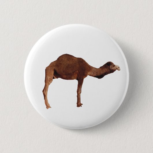 Marokkaanse Camel Button Pin Badge (Voorkant)