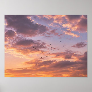 Marokkaanse olijfgaard zonsondergang - Roze gouden Poster