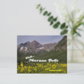 Maroon Bells Tournesols - carte postale (Debout devant)