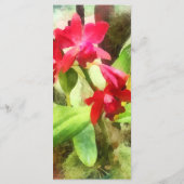 Maroon Cattleya Orchidées Menu Mariage (Dos)