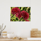 Maroon Chrysanthemums Poster (Keuken)