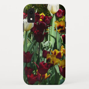 Maroon en gele Tulpen kleurrijke Floral iPhone XR Hoesje