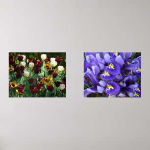 Maroon en gele Tulpen kleurrijke Floral Muurkunst Sets