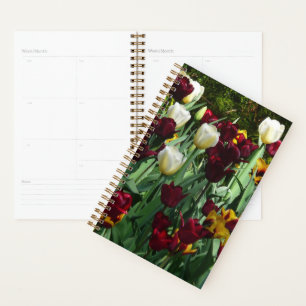 Maroon et Tulipes Jaunes Florales colorées