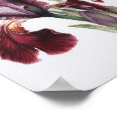 Maroon Irises Flower Art Imprimer Poster (Coin)