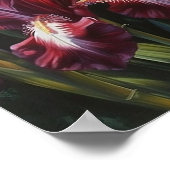 Maroon Irises Flower Art Imprimer Poster (Coin)