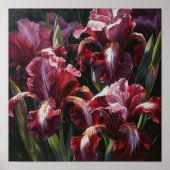 Maroon Irises Flower Art Imprimer Poster (Devant)