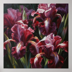 Maroon Irises Flower Art Imprimer Poster
