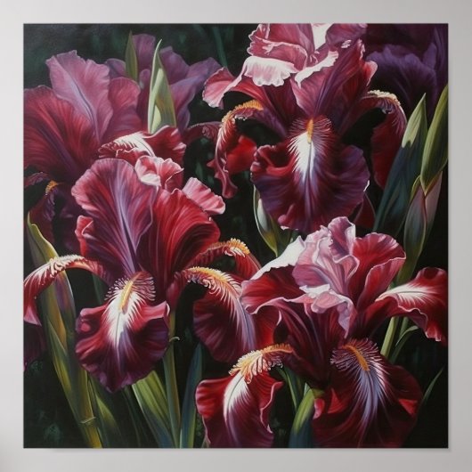 Maroon Irises Flower Art Imprimer Poster (Devant)