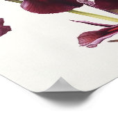 Maroon Irises Flower Art Imprimer Poster (Coin)
