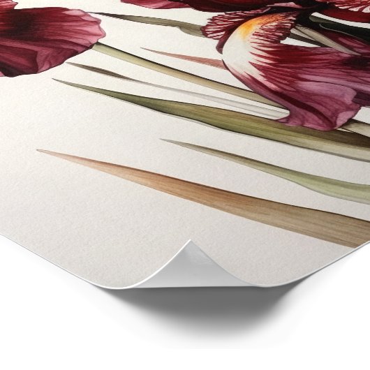 Maroon Irises Flower Art Imprimer Poster (Coin)