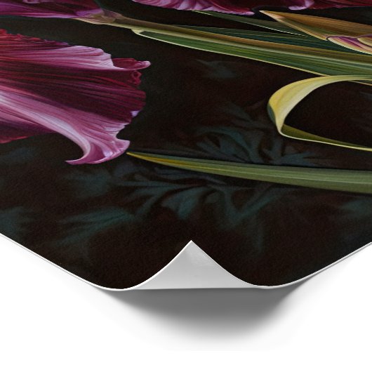 Maroon Irises Flower Art Imprimer Poster (Coin)