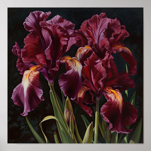 Maroon Irises Flower Art Imprimer Poster (Devant)